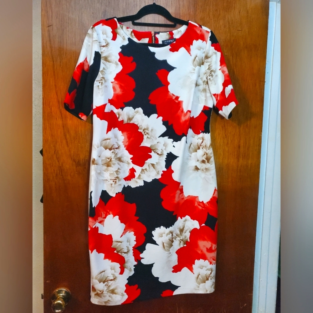 Roz & Ali Dress size 16